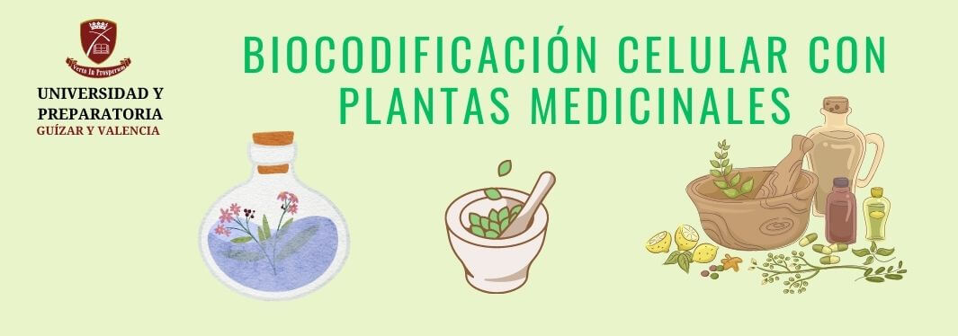 Biocodificación Celular con Plantas Medicinales