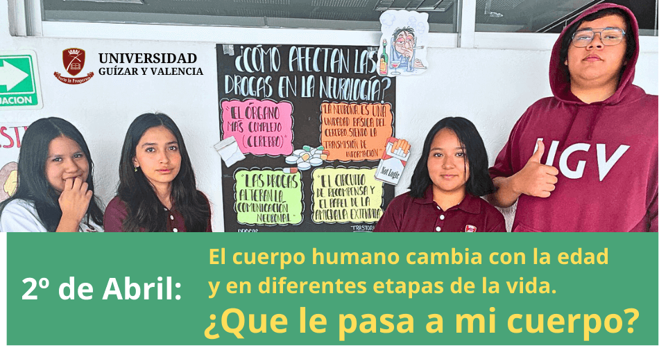 Cambios en el cuerpo humano a lo largo de la vida